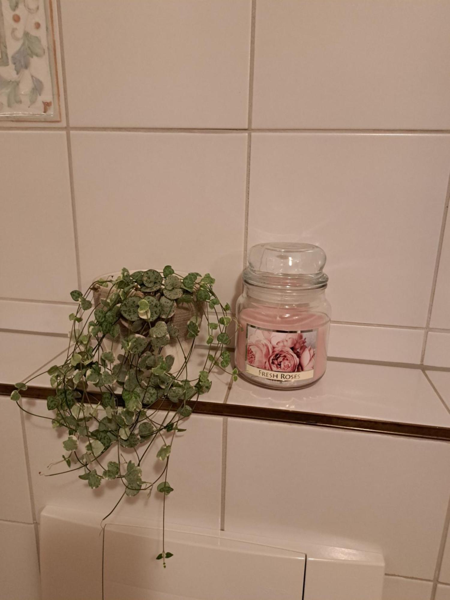 Apartment Klapeer